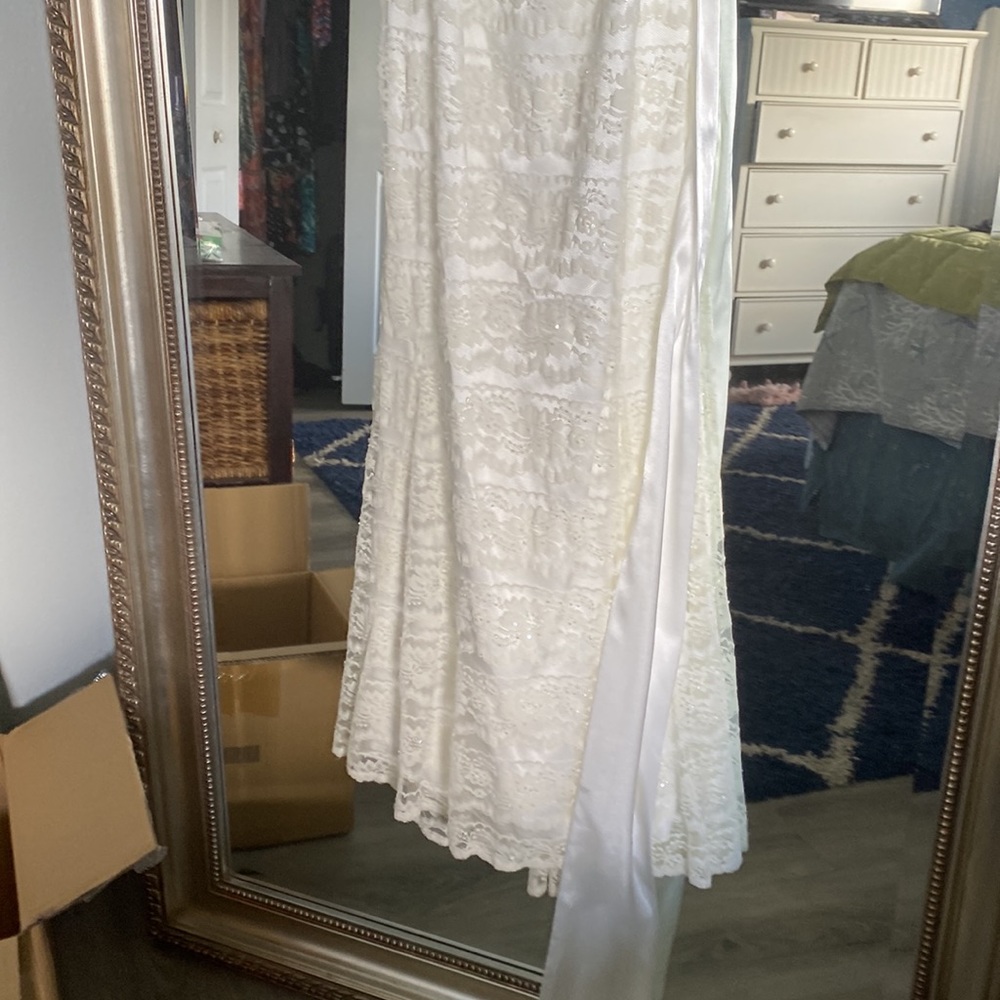Lovely Davids Bridal lace gown with sequins [Ivory] - Picture 9 of 12